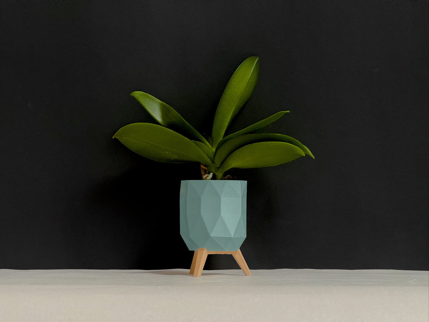 Blumentopf Low Poly Design