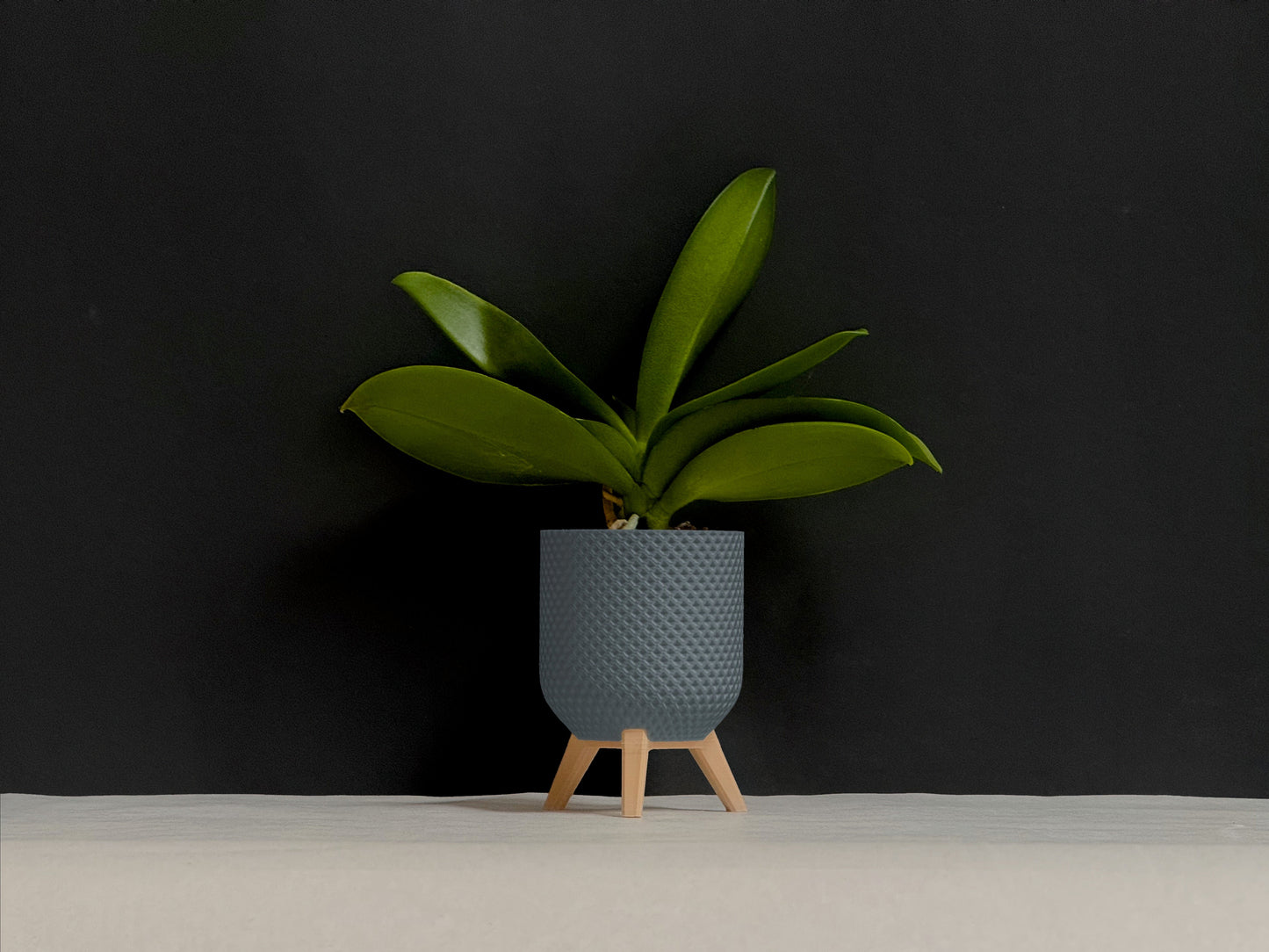 Blumentopf Checkerboard Design