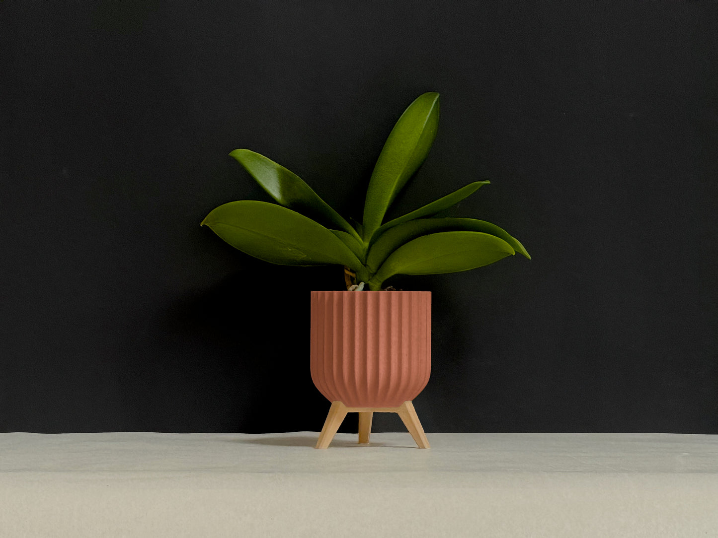 Blumentopf Rising Design